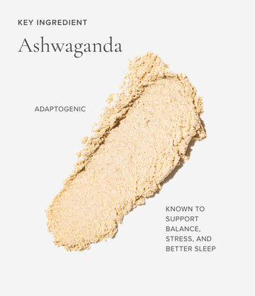 Ashwagandha ingredient close-up – Art of Tea