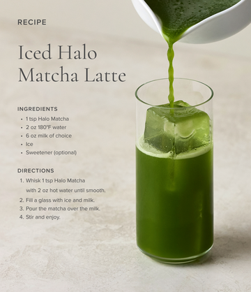 Halo Matcha Complete Kit