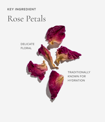 Clarity tea ingredient close-up – Art of Tea